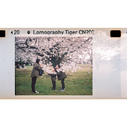 Lomography Lomomatic 110 Camera (Zebra Crossing)