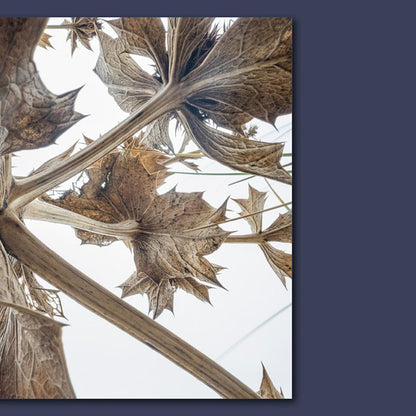 Outdoor Photography Magazine (UK)