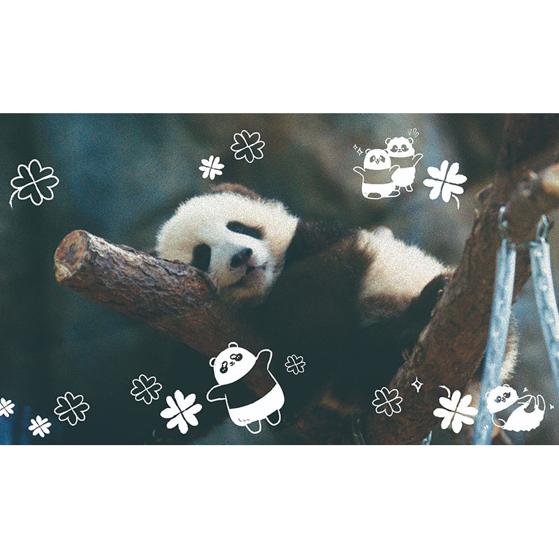 Polab Goodie Reloadable Disposable Camera (New Ocean Park Panda Friends Edition)