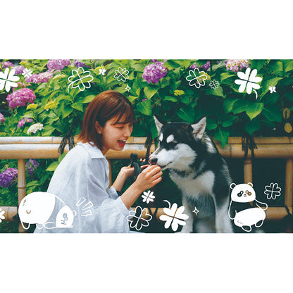 Polab Goodie Reloadable Disposable Camera (New Ocean Park Panda Friends Edition)