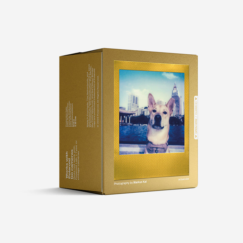 Polaroid Go Color Film Pack (16 Photos) - Golden Frame
