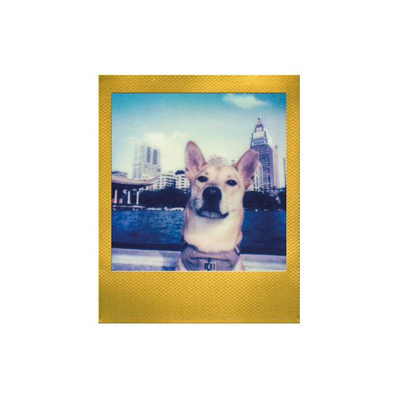Polaroid Go Color Film Pack (16 Photos) - Golden Frame