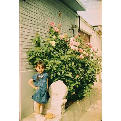 Reflx Lab - Fortuna C200 Colour 110 film