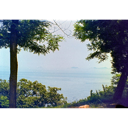 Reflx Lab - Fortuna C200 Colour 110 film