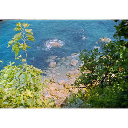 Reflx Lab - Fortuna C200 Colour 110 film