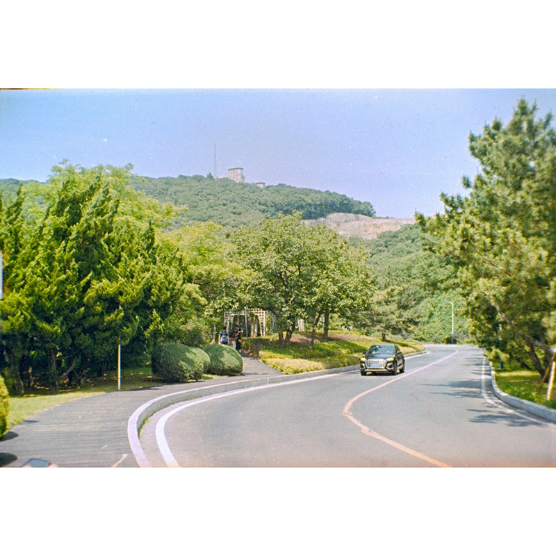 Reflx Lab - Fortuna C200 Colour 110 film
