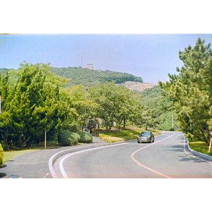 Reflx Lab - Fortuna C200 Colour 110 film