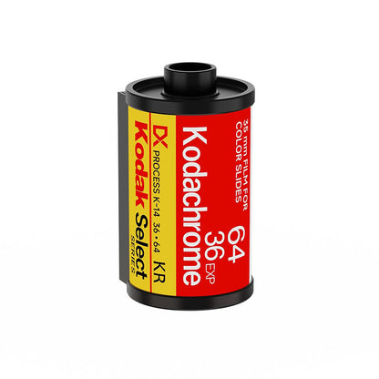 Film Canister Table Lamps