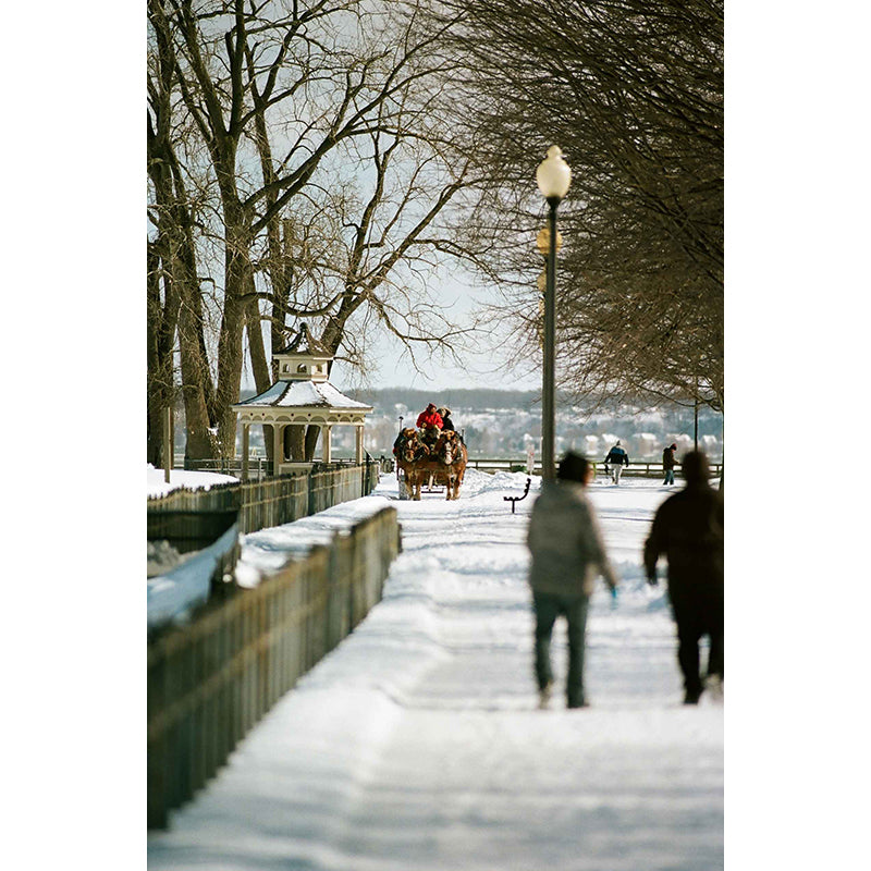 Kodak Ektacolor Pro 160 35mm Film