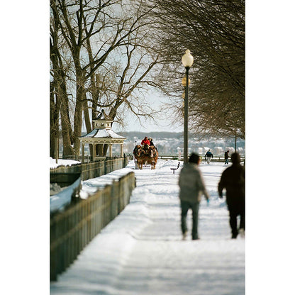Kodak Ektacolor Pro 160 120 Film
