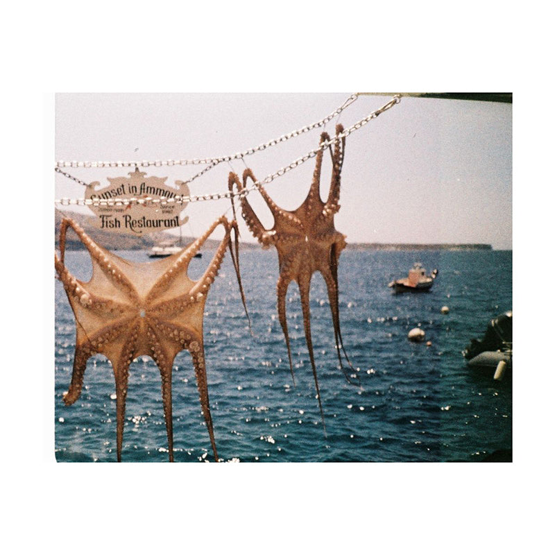 Lomography Analogue Pocket Trio 110 Film