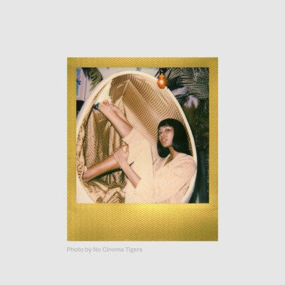 Color Polaroid Film for Polaroid I-Type Double Pack | Golden Moments Edition - 8storeytree