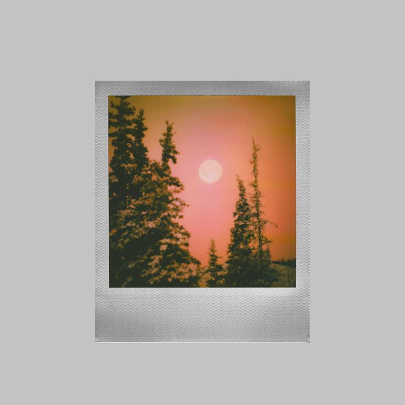 Color Polaroid Film for Polaroid I-Type Double Pack | Silver Linings Edition - 8storeytree