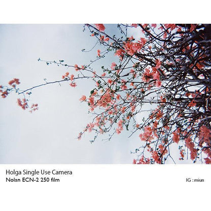 Holga Single Use Camera - ECN-2 Edition - 8storeytree