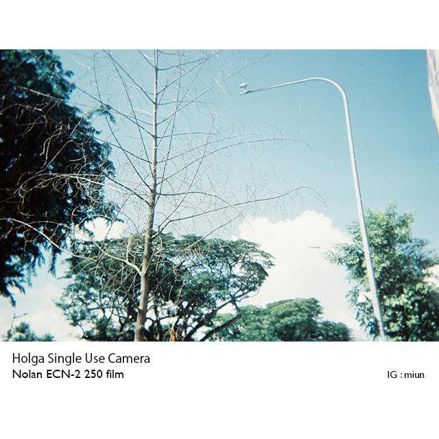Holga Single Use Camera - ECN-2 Edition - 8storeytree